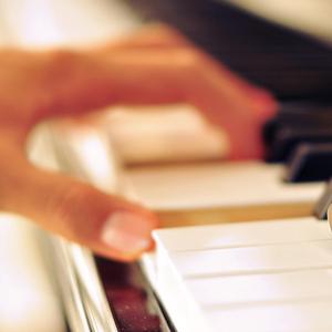 狗和人性胶能行吗
