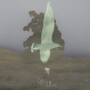 狗和人性胶能行吗
