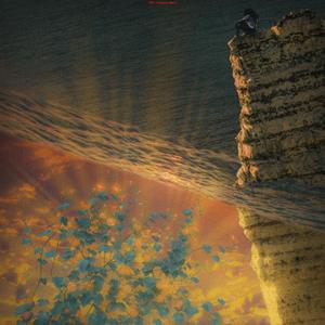 狗和人性胶能行吗
