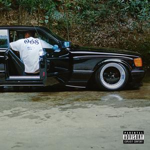 狗和人性胶能行吗
