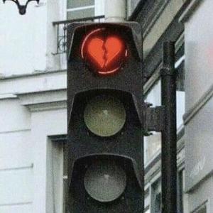 狗和人性胶能行吗
